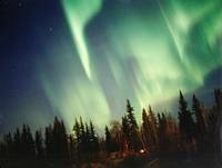 Massive
          green arc and curtain display above the forest by Jan Curtis